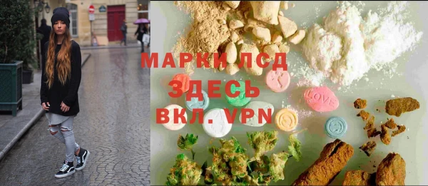 spice Богородицк