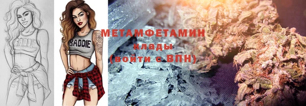 гидра Каменка