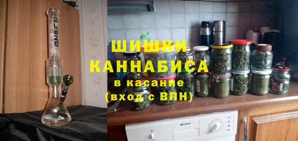 дурь Менделеевск