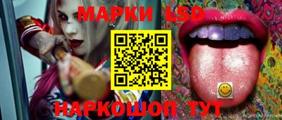 молекула духа Камышлов