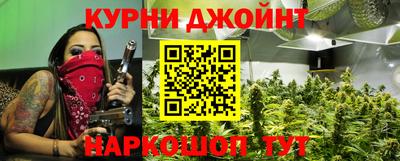 молекула духа Камышлов