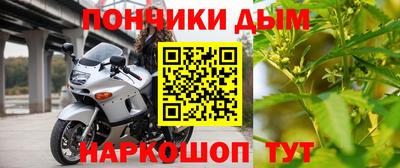 молекула духа Камышлов