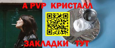 молекула духа Камышлов