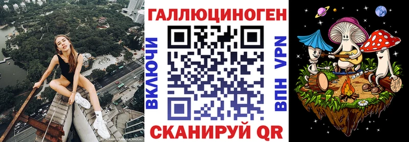 Псилоцибиновые грибы Psilocybe  Вологда 
