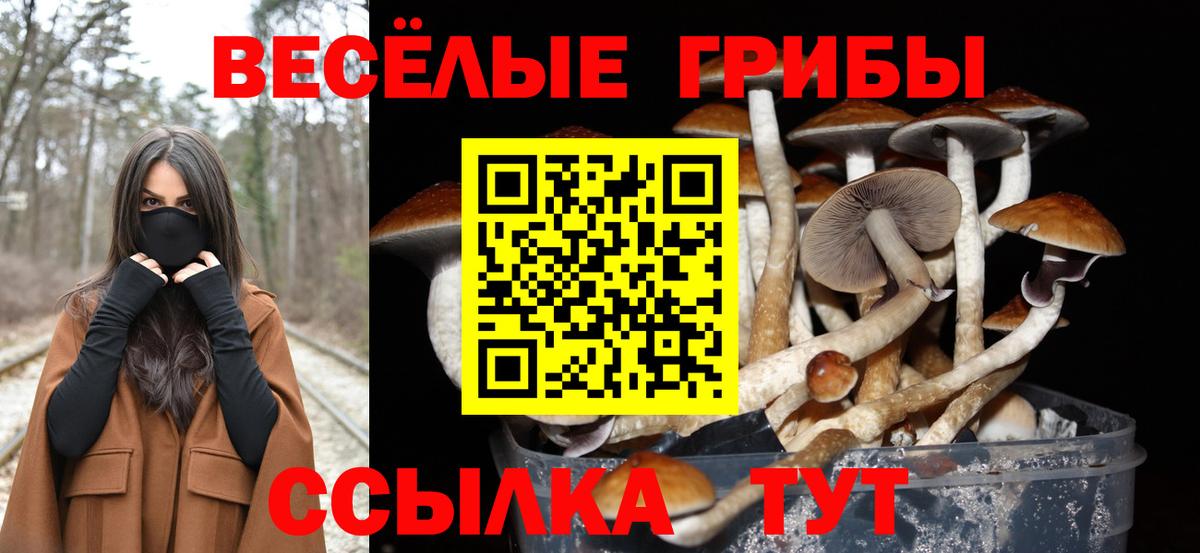 Галлюциногенные грибы Cubensis  Вход с VPN  купить  цена  Вологда  Галлюциногенные грибы Magic Shrooms 